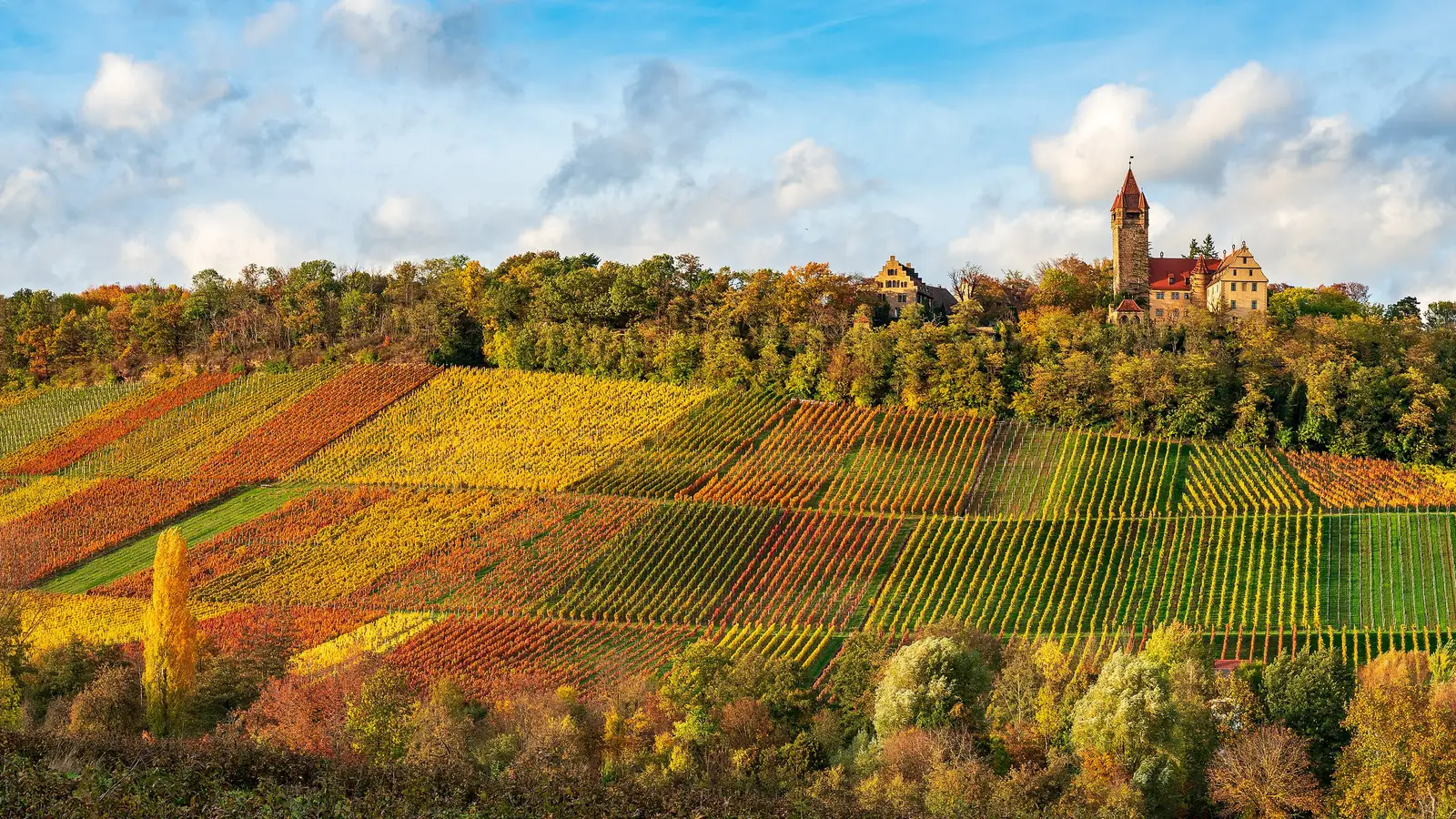 Wijngaarden in de heuvels van Baden-Wurttemberg in de herfst, met kasteel op de heuveltop