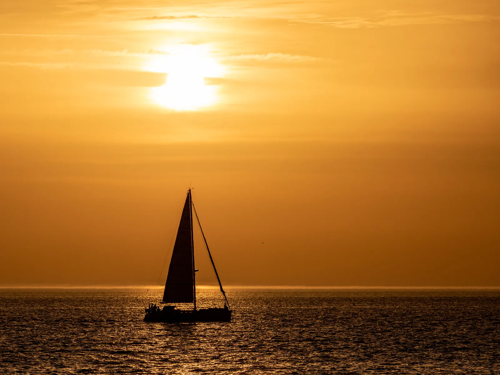 Wide North Sea beach and dunes on the Dutch coast, ideal for off-grid campervan travel